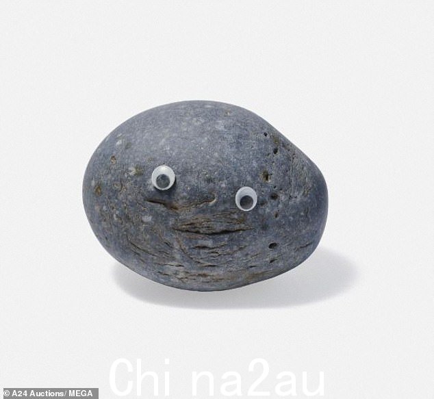 Final bid: Rockverse rock sold for $13, 200