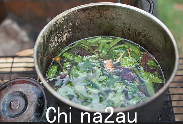 虽然没有关于这种棕红色冲泡饮料(如图)在英国的使用情况的数据。但据认为它在中产阶级中很受欢迎