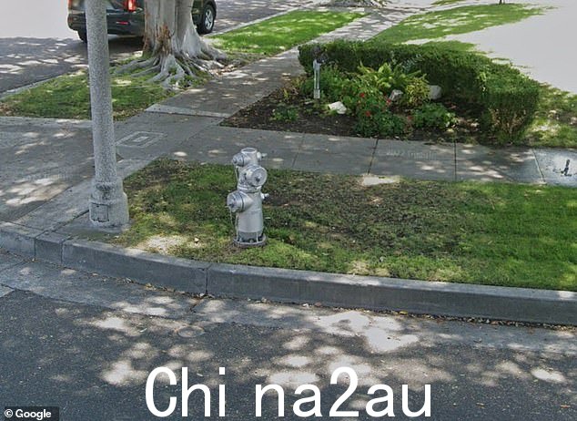 据报道,这对夫妇撞到了埃尔瓦多大道和罗迪欧大道拐角处的消防栓