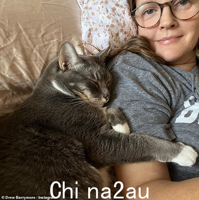 猫人:当毛球把爪子放在德鲁身上时,她似乎离她的小猫最近