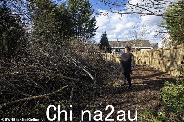 隔壁邻居花园里的三棵树也被砍掉了,然后树枝和碎片被倾倒在一个十英尺高的堆里史密斯的后花园