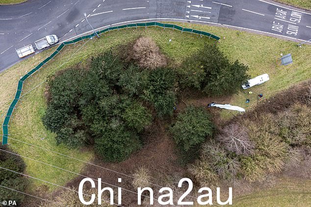 父子俩在树后发现了白色大众Tiguan