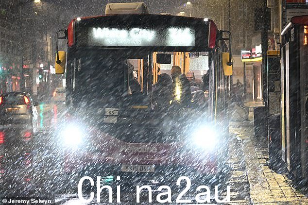今早伦敦北部克里克伍德的阵雪