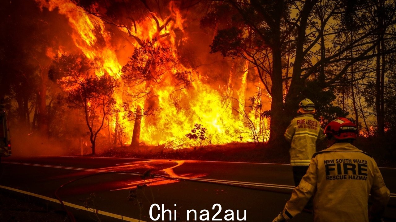 由于热浪，新南威尔士州发生数十起丛林大火