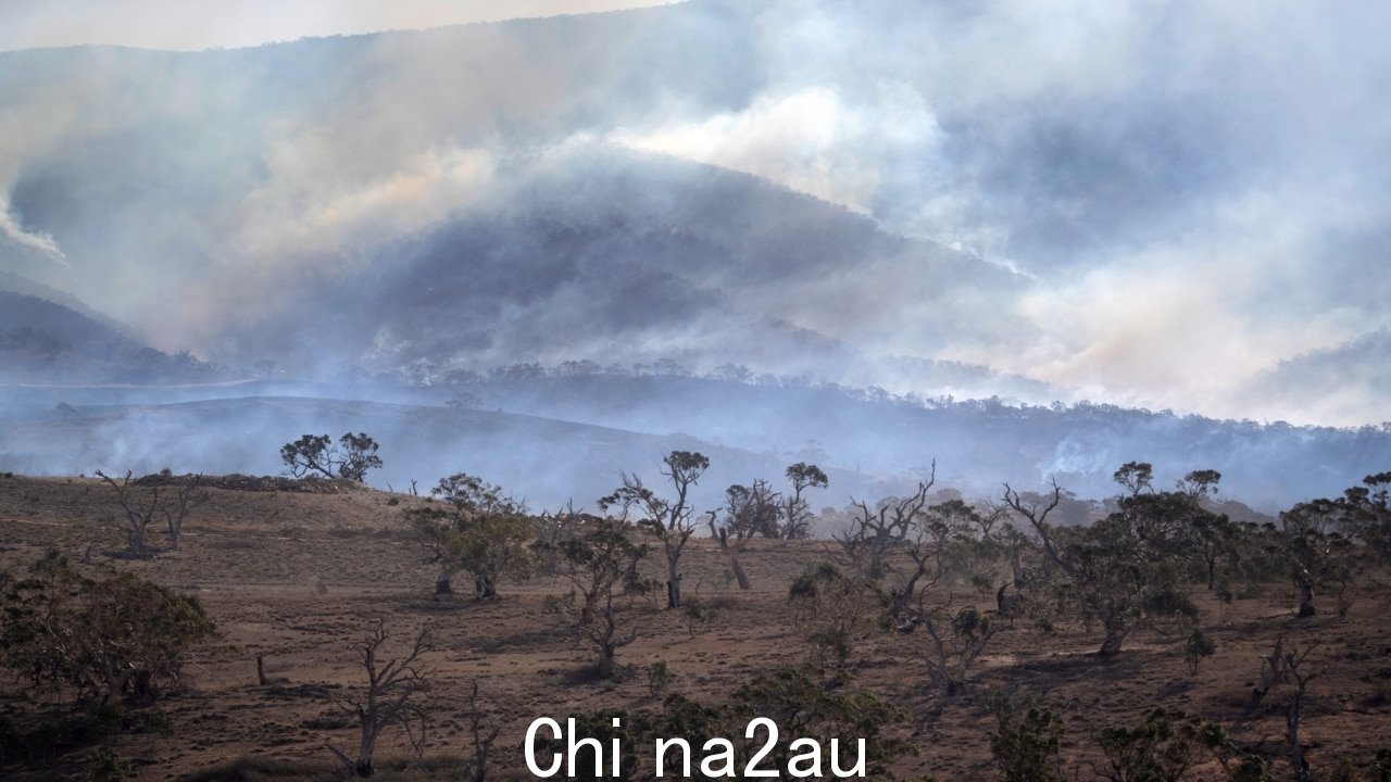新南威尔士州发生多起丛林大火