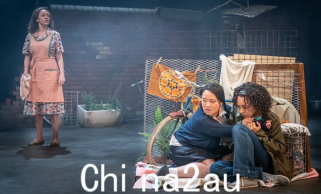 Das 的作品没有这种矛盾心理,首先感谢我们分享演员的非二进制值