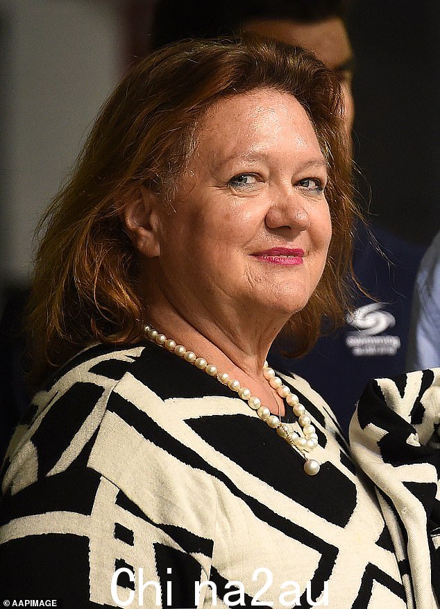 Gina Rinehart 继续投资于澳大利亚体育运动,她的公司 Hancock Prospecting 赞助西澳游泳、澳大利亚排球、澳大利亚赛艇和澳大利亚花式游泳