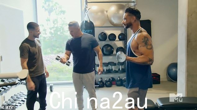 锻炼:Vinny、The Sitch 和 Pauly 一起锻炼