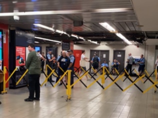 两名警察据称在悉尼的一个主要火车站遭到一名男子的袭击后被送往医院。图片：推特。
