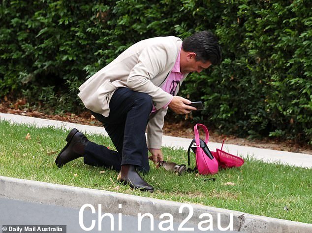 在 Rosehill Gardens Ladies Day 度过了一个重要的一天之后,一位男士正在照看一双鞋子和手提包