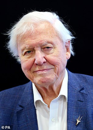 准备好了吗?两人开玩笑地抛出了 David Attenborough(如图)的名字d Alan Sugar 进入呈现环