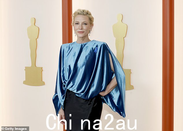 Cate 裙子的上衣采用华丽的缎面材料制成,垂褶上衣带有垫肩和鱼尾裙