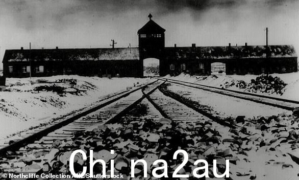 奥斯维辛,摄于 1945 年,约 110 万人在纳粹灭绝营被杀害后被苏联军队解放