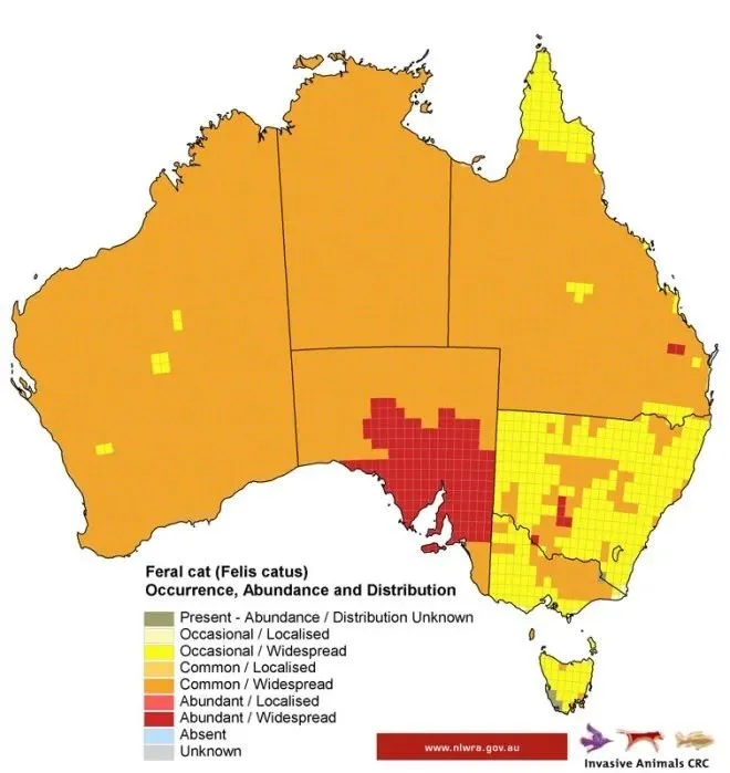 使用MapMaker Interactive 将澳大利亚野猫的种群密度与澳大利亚人类的种群密度进行了比较。/地图由澳大利亚国家土地和水务局提供