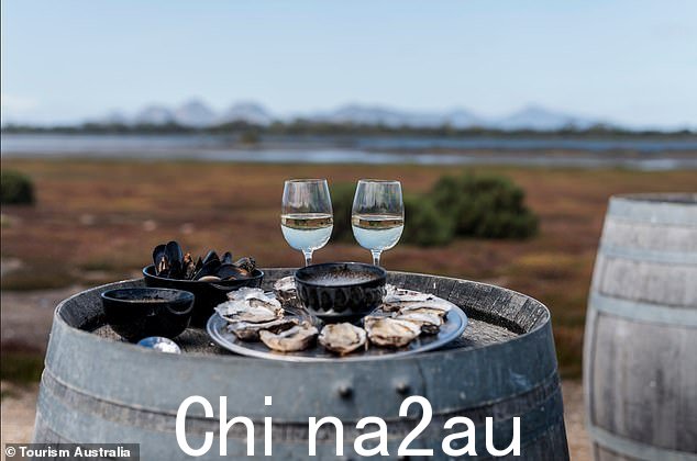 在塔斯马尼亚,从围场到餐桌和从海洋到餐桌的美食大放异彩