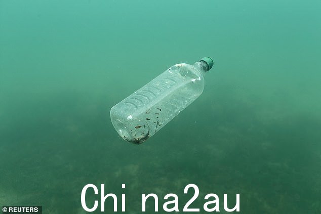 所有透明和彩色塑料瓶,包括清洁产品(扳机未打开)、洗涤剂、洗发水、护肤品和牛奶瓶都可以回收