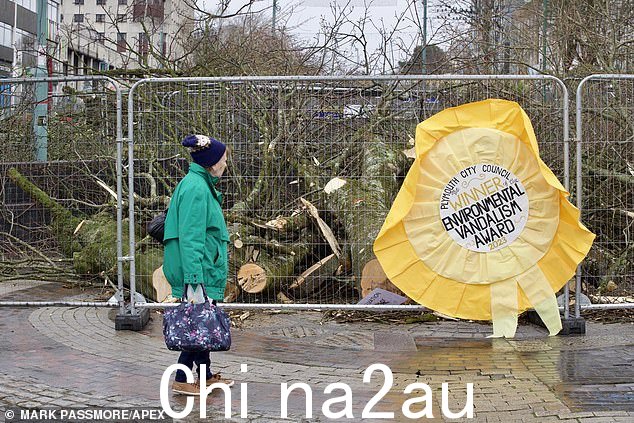一位普利茅斯当地居民路过砍伐树木的现场,引起了激烈的批评