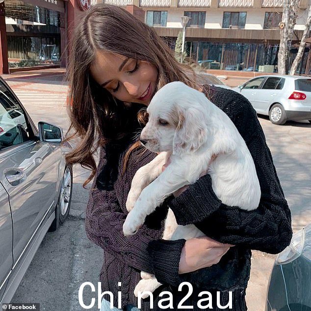 最初的计划是让两位 Pînzarus 和其他 10 位客人与 Sears 一起乘坐价值 500 万美元的 Pershing 7X 游艇,进行一次穿越巴哈马和特克斯和凯科斯群岛的旅行