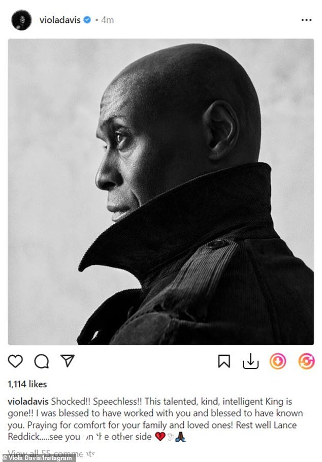 悲伤:奥斯卡得主 Viola Davis 与演员一起出演了 2012 年的 Won't Back Down 表达了她的悲痛,说她是 '震惊!!无言以对!'