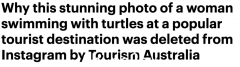 澳洲女子与数十只海龟合影，震撼场面却遭网友诟病！旅游局迅速删帖（合影）