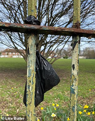 Lisa Butler 告诉 MailOnline,问题已经蔓延到布伦特福德的 Carville Hall Park(如图)