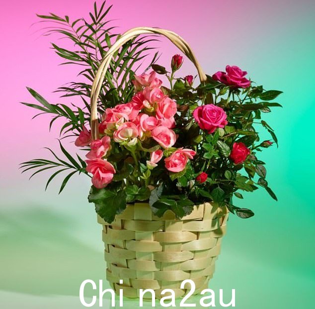 这花是女方的丈夫替她不在国内的孩子买的