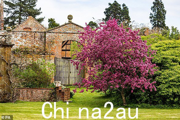 春天的迹象:国民信托在白金汉郡的 Claydon House