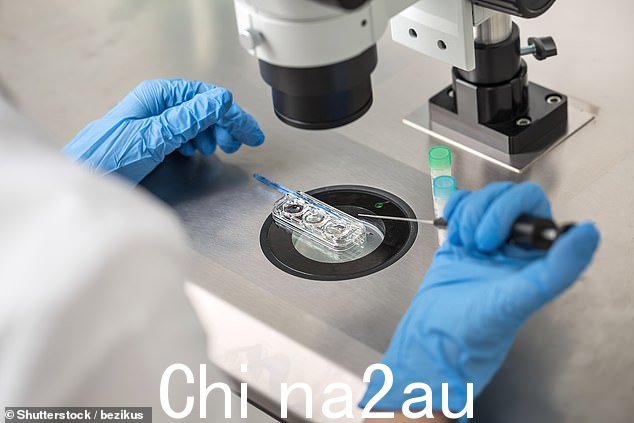 在体外受精中,卵子在实验室受精,形成胚胎,然后转移到女性的子宫中