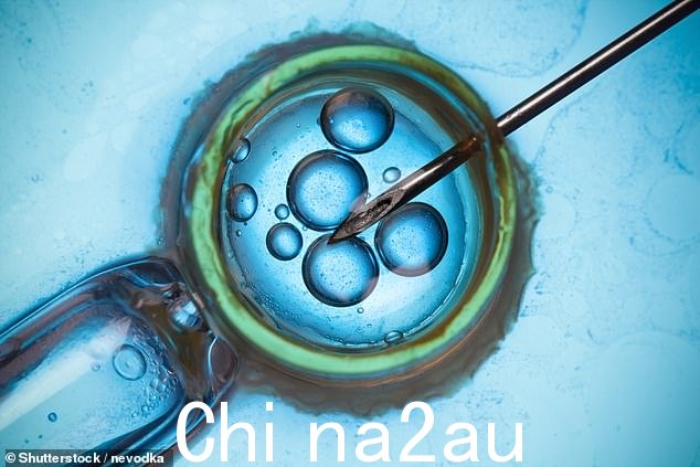 在实验室中培养大量女性卵子的能力可能会导致更友好的体外受精