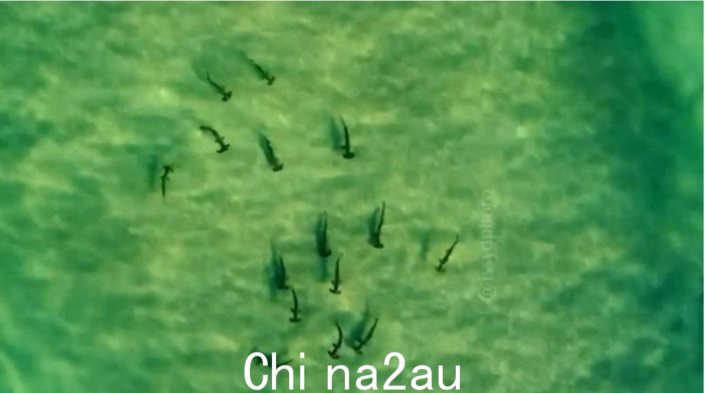 3.JPG,0 