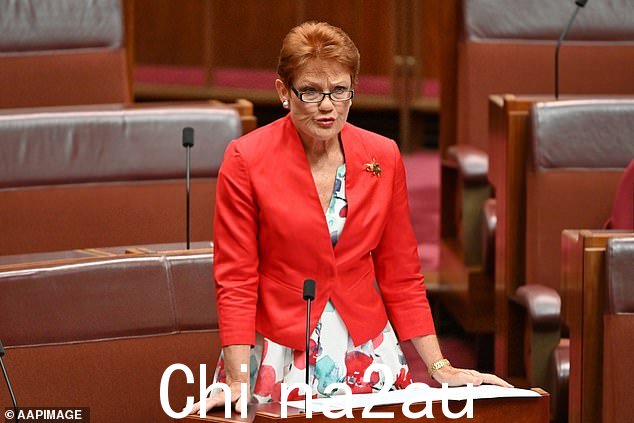 哦ne Nation 领导人 Pauline Hanson 抨击了澳大利亚人根据祖先对土地的所有权向土著群体支付每周租金的提议