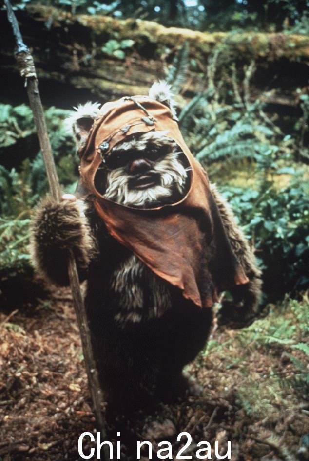 Warwick Davis 饰演 1983 年深受喜爱的星球大战电影《绝地归来》中的 Wicket the Ewok
