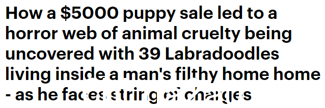 6 .PNG,0