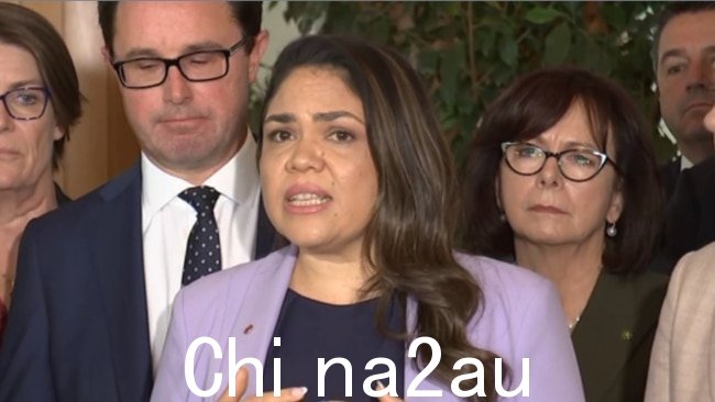 国家自由党参议员 Jacinta Nampijinpa Price 表示,Albanese 政府“屈服”于公投工作组的要求。