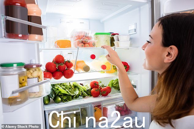 冰箱可能是人们最不希望用洗涤器攻击的地方之一,但容器中却藏有导致疾病的细菌