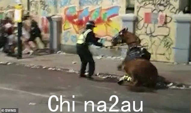攻击发生在几个月后ter PH Urbane 的搭档 PH Sandown 在去年的诺丁山狂欢节上不幸倒地身亡(如图)