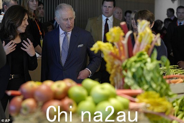在他第一次访问公司总部时,作为长期环保活动家的国王了解了银行的绿色倡议。
