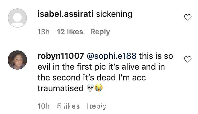 Upset: One follower said: 'This is so evil in the first pic it's alive and in the second it's dead I'm acc traumatised'