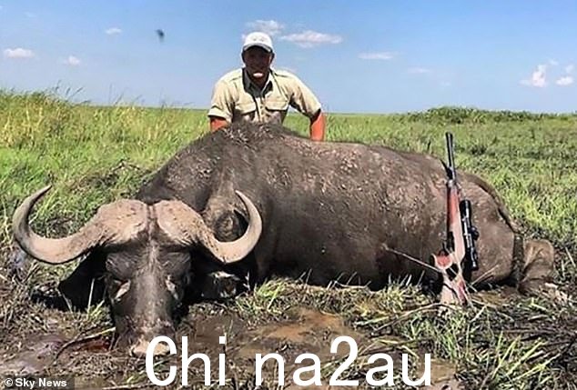 Claim: A photo obtained by The Sun shows a listing for a Taxidermy Cape Buffalo Shoulder Mount with an asking price of £8,000 allegedly posted by him (above with the dead animal)