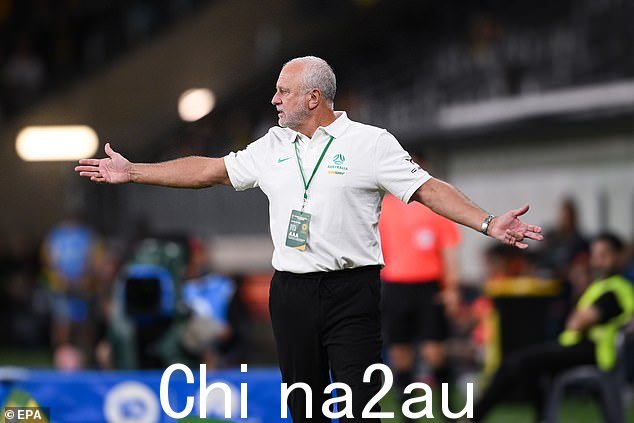 Socceroos 自世界杯战绩以来首次回到主场