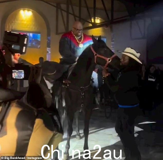 说出来:PETA 高级副总裁 Lisa Lange 在一份声明中说:'不需要天才就知道马不属于嘈杂、拥挤的聚会,那里湿滑的地板和闪光灯灯光可以激怒他们'