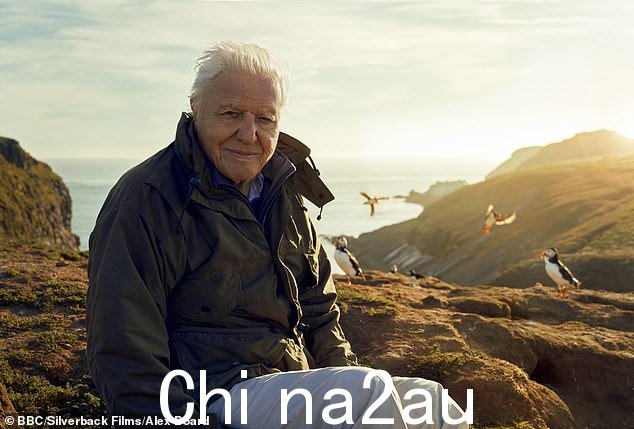 David Attenborough 在最新一集 Wild Isles (BBC1) 中探索了英国的草原。草地占英国土地的 40%,那里的生活似乎是一场漫长的狂欢,偶尔被午餐打断