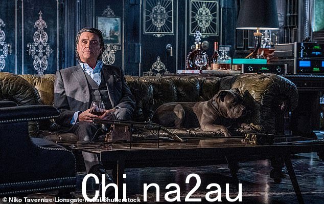 焦点:故事情节的中心是年轻的温斯顿·斯科特,由伊恩·麦克肖恩(如图)在原版电影中饰演。故事发生在 1975 年的纽约,斯科特面对他过去的恶魔,他在大城市的地下场景中穿越了一条危险的道路,试图控制酒店