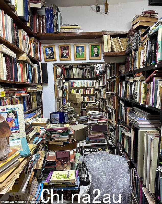 火灾隐患:当肖恩在镇上转悠时,他似乎去了一家当地的书店