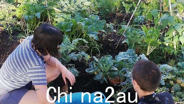 Growing Forward 利用这一事件来提高人们对其筹款活动的认识,该活动旨在在布里斯班其他郊区建立更多的‘游击队花园’” class=