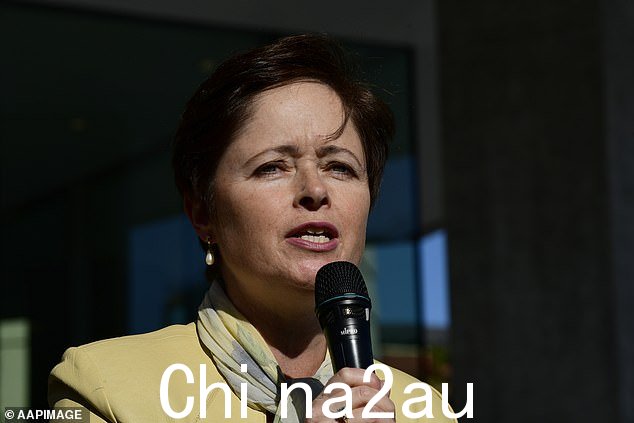 2019 年,她就一项将堕胎合法化的法案向当时的自由党州长 Gladys Berejikilian 发起挑战,并辞去了妇女、心理健康和老龄化部长的职务(照片是她于 9 月在悉尼举行的反堕胎集会上发表讲话)那年)