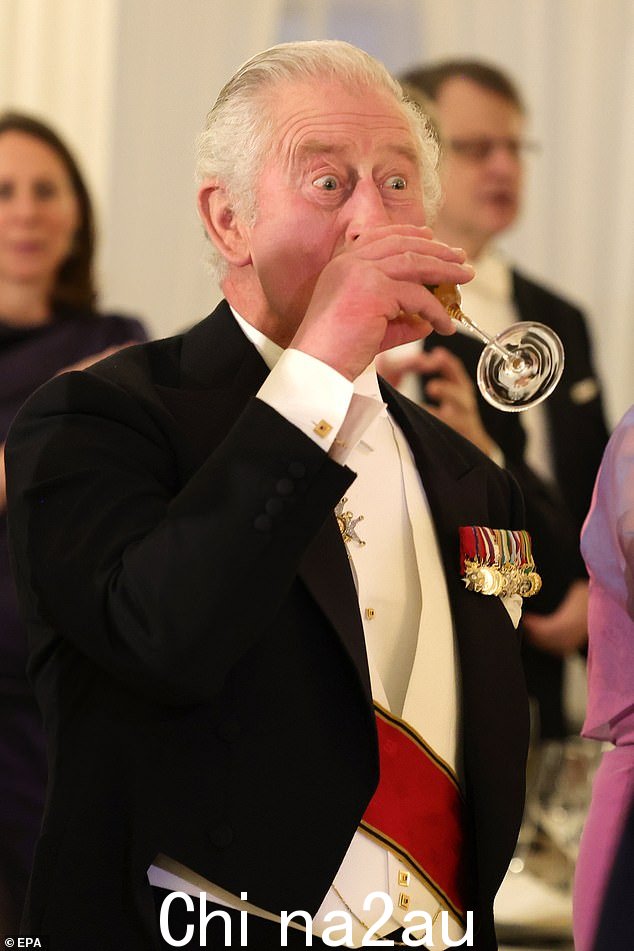 国王在发表了庆祝英国与德国的长期联系的广受欢迎的演讲后举杯庆祝