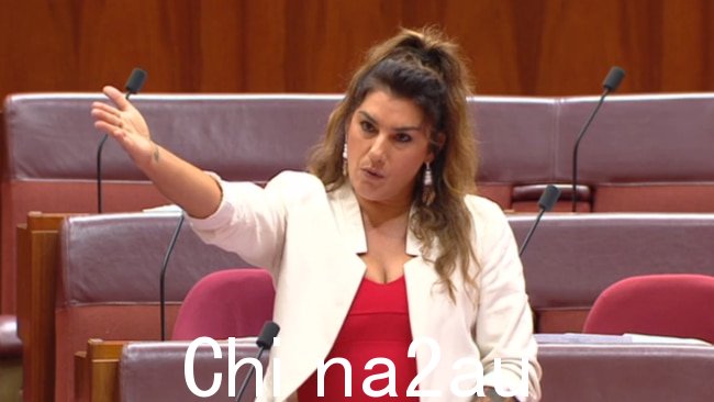 参议员 Lidia Thorpe 在周二晚上被自由党参议员 Hollie Hughes 打断时,她在致谢中途停了下来。图片:已提供
