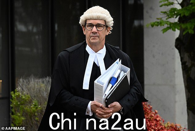 Shane Drumgold(如图)于 10 月在 ACT 最高法院领导对 Bruce Lehrmann 的诉讼