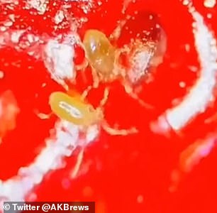 虽然它们可能很可怕,但人们普遍认为它们不会伤害您